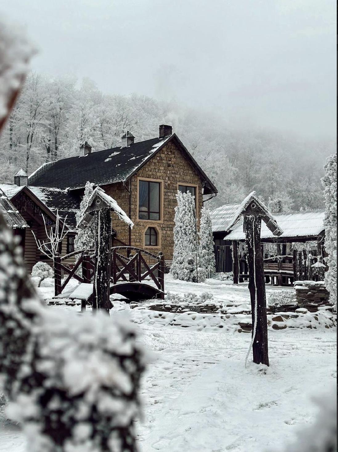 Orlyne Gnizdo Chernivtsi Exterior foto